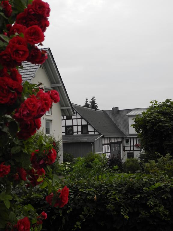 Wilkenhof Lägenhet Willingen  Exteriör bild